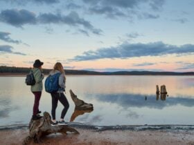 Wellington National Park, Collie, Western Australia