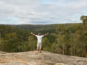 Wildflower Ridge Walk Rocky Lookout