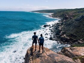 Cape to Cape walk trail, near the Wilyabrup Cliffs