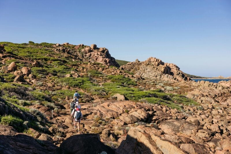 Cape to Cape Explorer Tours