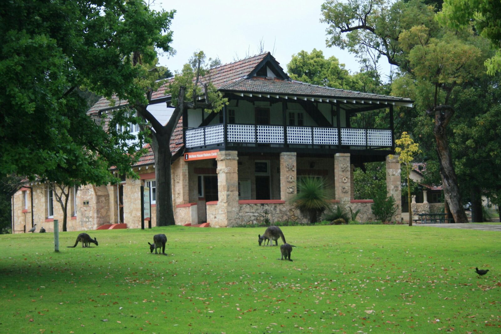 Two story building surrounded by green grass and kangaroos on the lawn.