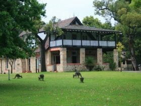 Two story building surrounded by green grass and kangaroos on the lawn.