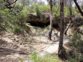 Yanchep National Park, Western Australia