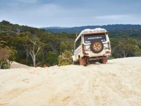 Yeagarup Sand Dunes, Pemberton