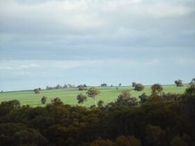 Picture is taken from the Yilliminning Rock overlooking the peaceful green Narrogin landscape.