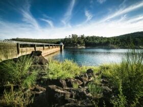 Scenic view of Mundaring Weir in Western Australia with surrounding forest and walking trails