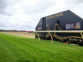 Finish line at Pinjarra Park