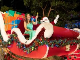 Alinta Energy Christmas Pageant