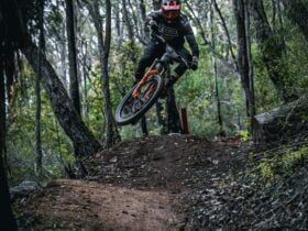 Man on bike jumps over riding trail