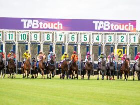Pinjarra Park starting gates