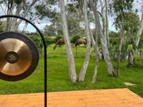 Sound bath