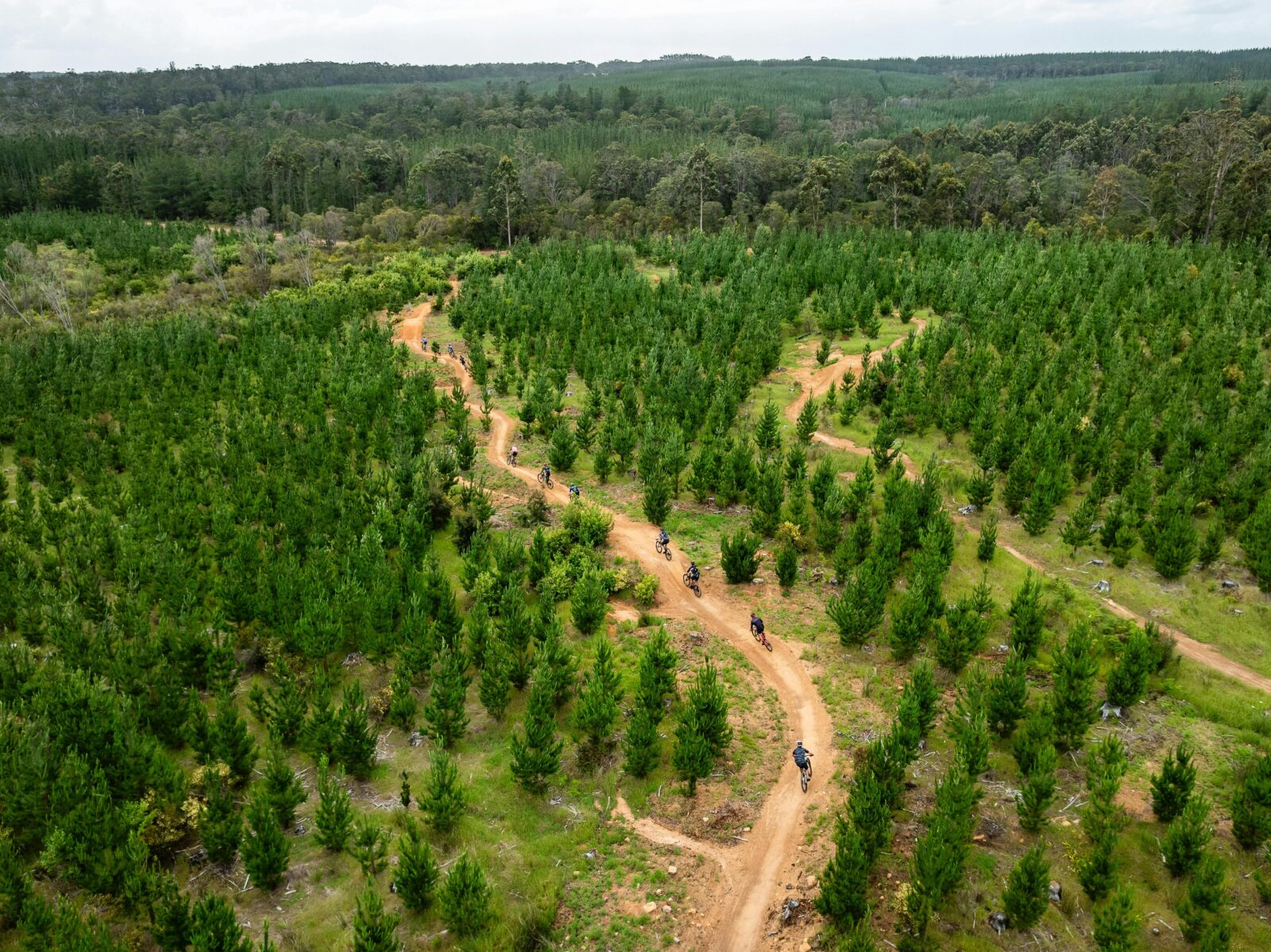 Arial photo of a Cape to Cape MTB trail with green pine trees