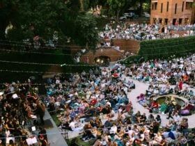 The audience seated watching the performers on stage.