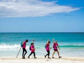 coastrek coastal walk