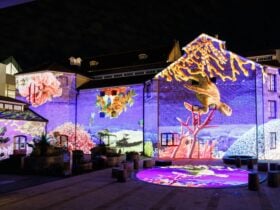 Illuminations of Ocean sea creatures on the WA Museum Old Gaol building