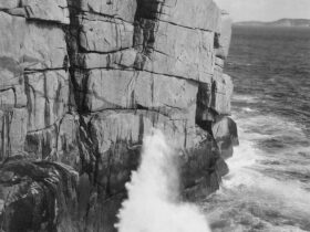 The Gap, Albany, 1954