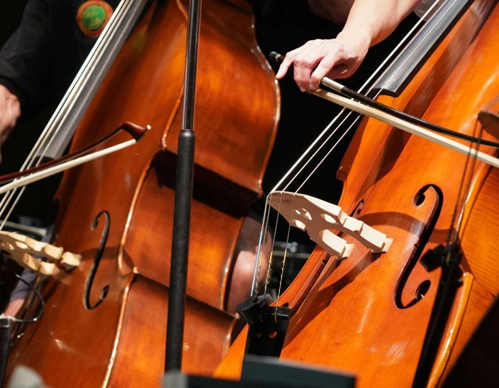 Image of double bass