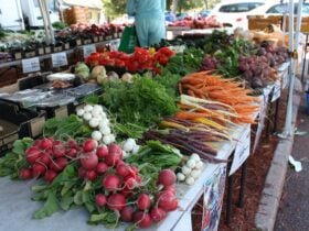 Mount Claremont Farmers Market, Mount Claremont, Western Australia