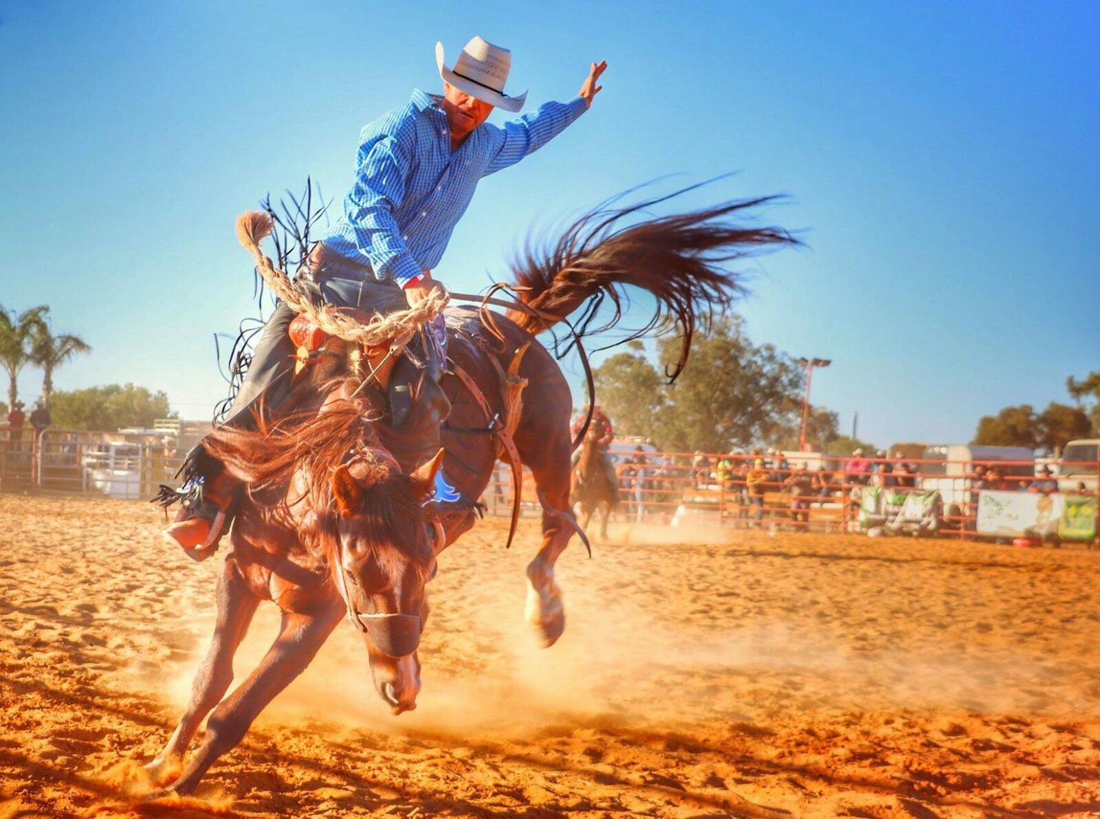 Rider on a bucking bronc in the arena