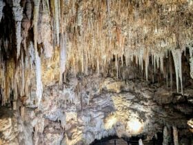 Ngilgi Reverie, stalactites lit up in Ngilgi Cave