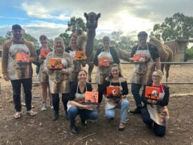 Team building paint and sip