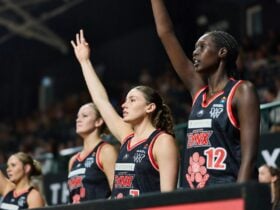 Perth Lynx vs. Townsville Fire
