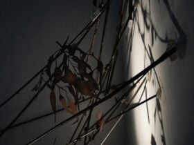 Marcia Leonard, Burn Line