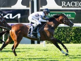 OVERPASS wins the $5m Kia Quokka at Ascot