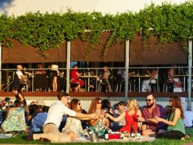 Twilight Concert - Neuva Salsa, Baskerville, Western Australia