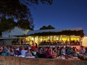 Upper Reach Twilight Picnic Concert