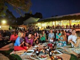 Twilight Concert at Upper Reach