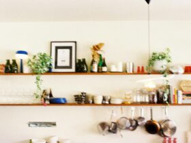 Shelves