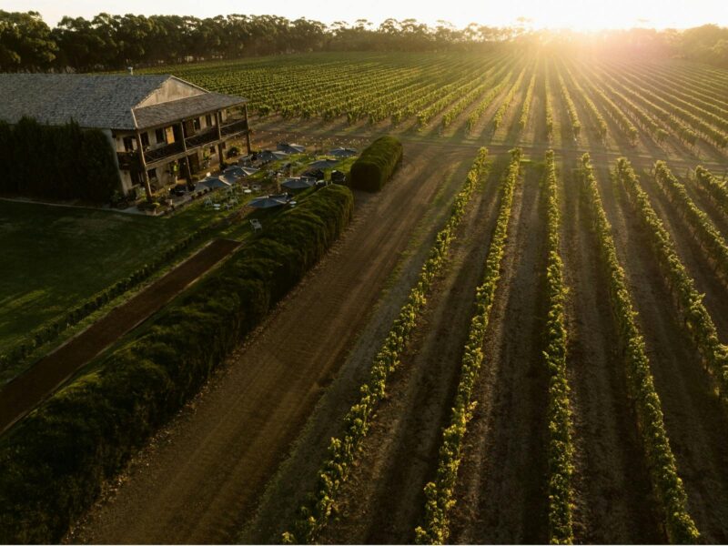 Cherubino Margaret River Cellar Door