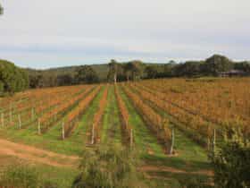 Grace Farm, Gracetown, Western Australia