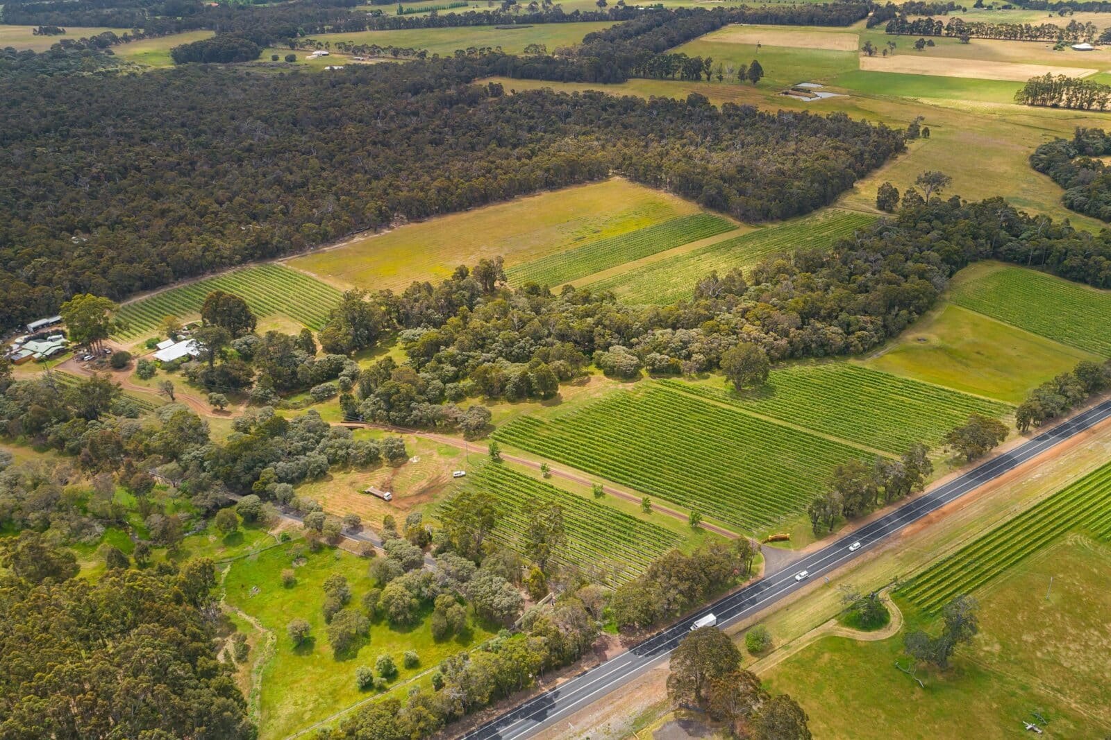 Island Brook Estate Aerial Vineyard