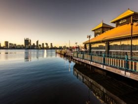 Mister Walker, South Perth, Western Australia