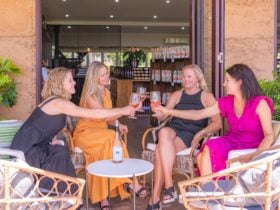 4 ladies seated having a glass of wine