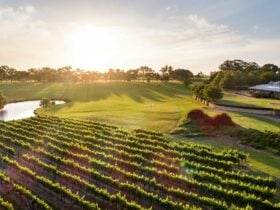 Sandalford Wines - Swan Valley, Caversham, Western Australia