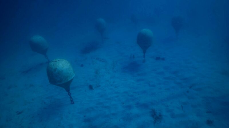 Wine vats anchor to ocean floor in Subsea Estates wine cellar