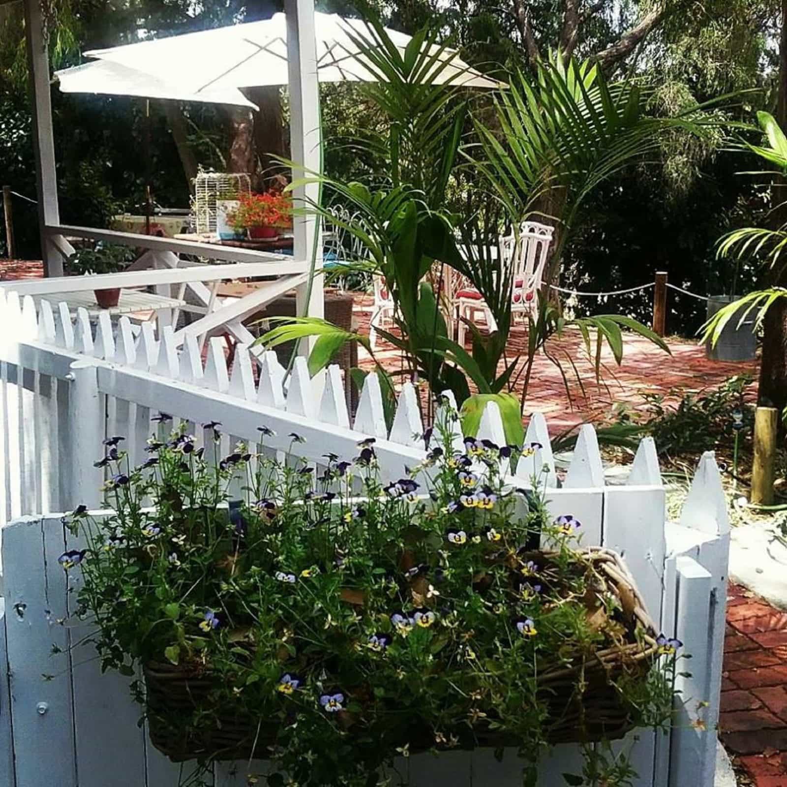 The Olive Tearooms, Swan Valley, Western Australia