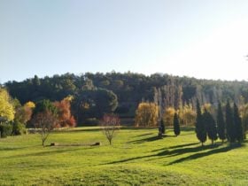 View across the lawn in late Autumn