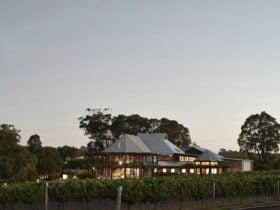 Vasse Felix Estate