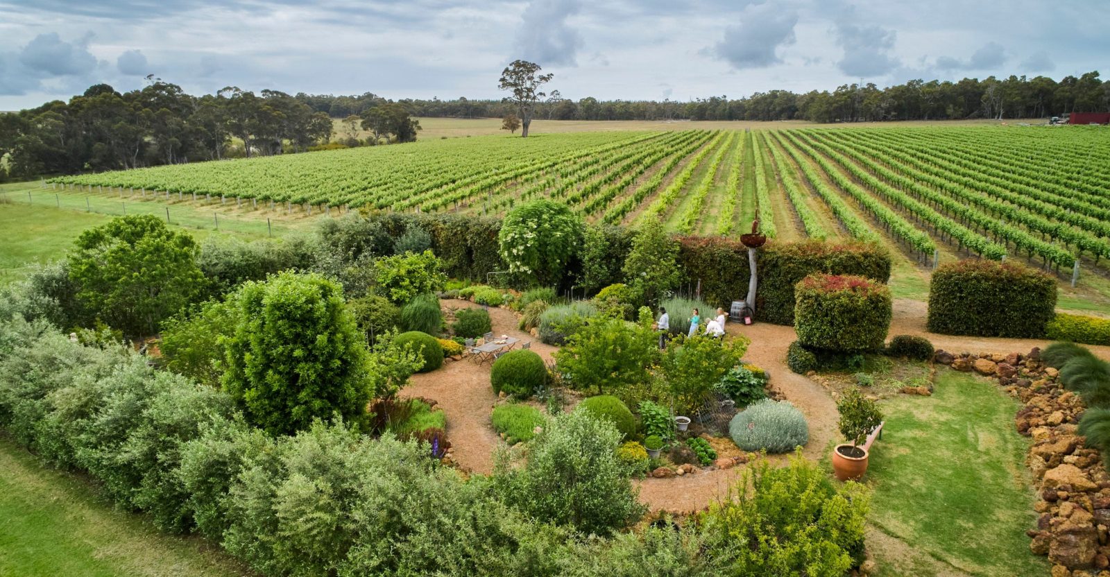 Whicher Ridge Wines, Chapman Hill, Western Australia