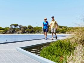 Hiking on Wadjemup Rottnest Island with ease using the Smartreaka Map
