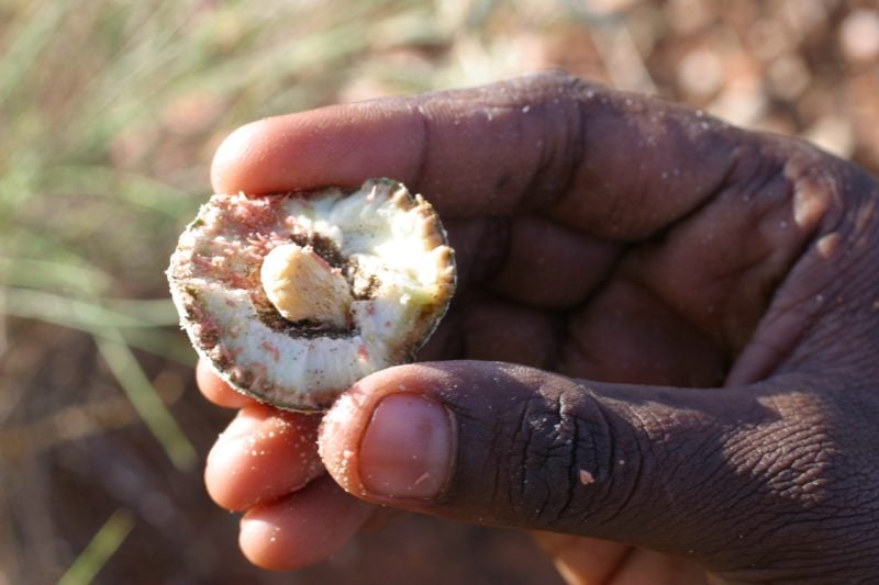 WAITOC Aboriginal Tourism Information, West Perth, Western Australia