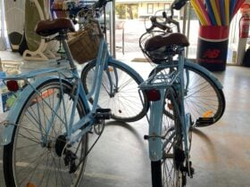 two blue cruiser style bicycles in a shop