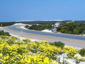 Scenic freeway view with a stunning wave-swept beach in the background