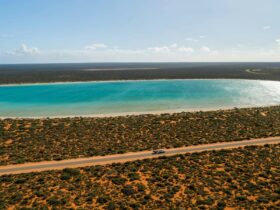 A holiday caravan driving through a red desert landscape, passing Lake Thedham in Shark Bay