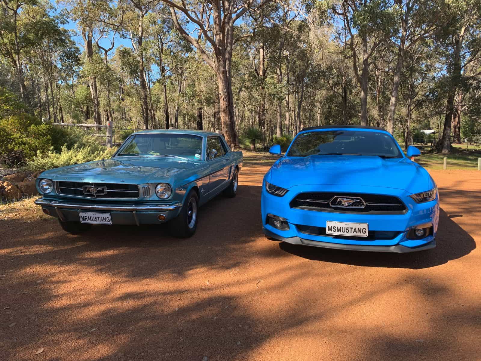 Mr Mustang Hire, Margaret River, Western Australia