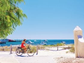 Pedal & Flipper, Rottnest Island, Western Australia